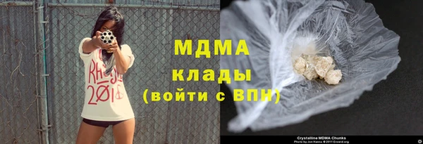 индика Киреевск