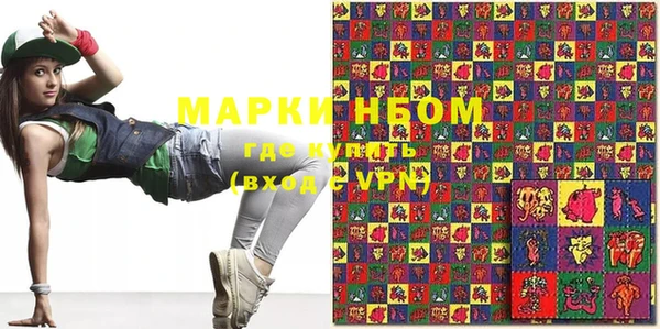 индика Киреевск