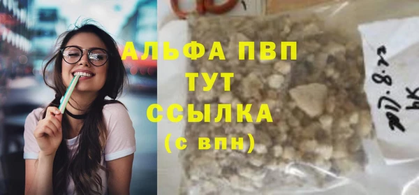 индика Киреевск