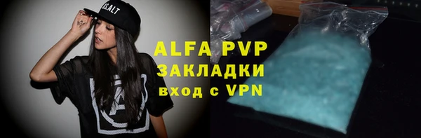 индика Киреевск