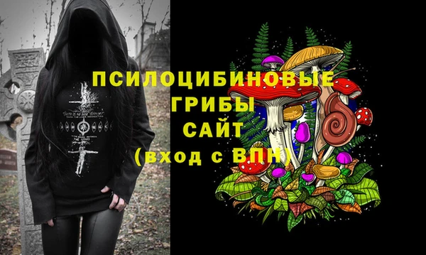 ALPHA PVP Карталы