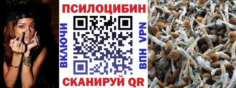 Купить где  Льгов  Псилоцибиновые грибы ЛСД 