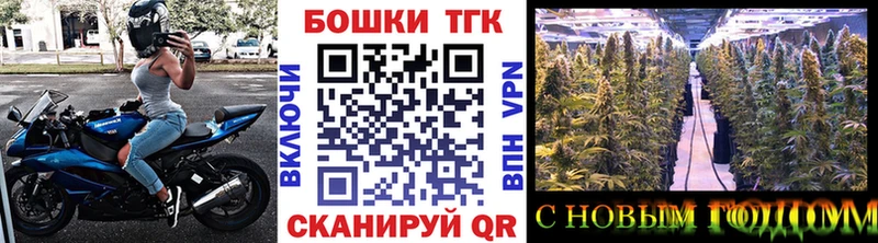 Купить закладки  Льгов  Каннабис OG Kush 